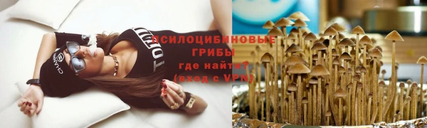 a pvp Костерёво