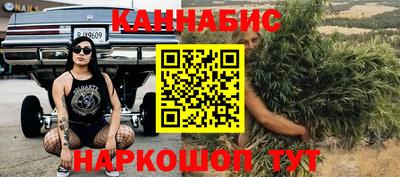 амф Гатчина