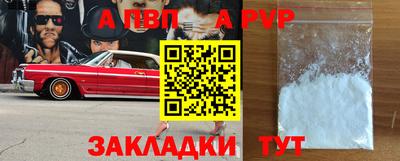 амф Гатчина
