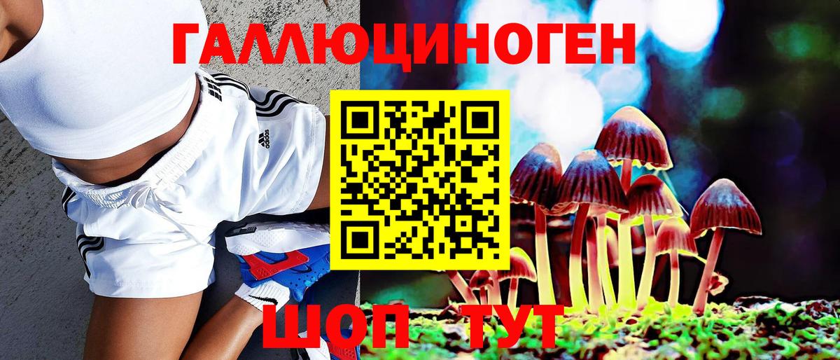 Кемерово  наркота  Вход с VPN  Псилоцибиновые грибы мухоморы 
