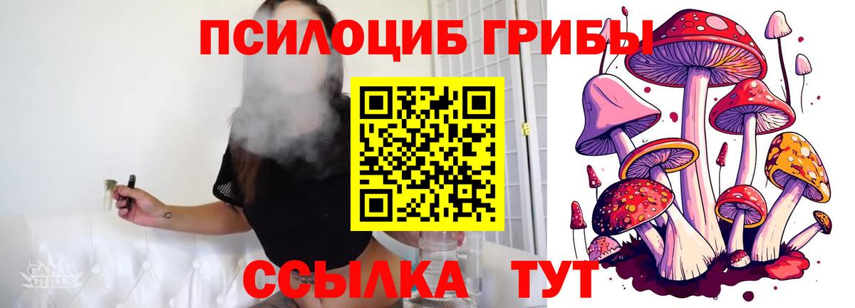 Галлюциногенные грибы прущие грибы  Кемерово 