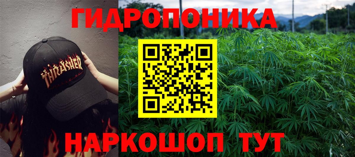 Конопля White Widow  Вход с VPN  Шишки марихуана VHQ  Кемерово 